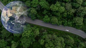 2026 : L’année où la durabilité des entreprises passe à l’action - 8 précepts pour réussir