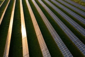 Rapport de durabilité volontaire : un levier stratégique pour les PME à adopter sans tarder