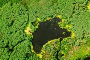 Green Deal 2026, l’année charnière des réglementations européennes pour les entreprises.